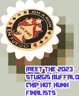 Metal poker chips set
